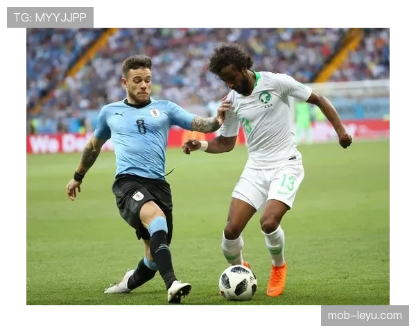 乌拉圭队世界杯征程：荣耀与挑战交织的传奇之旅