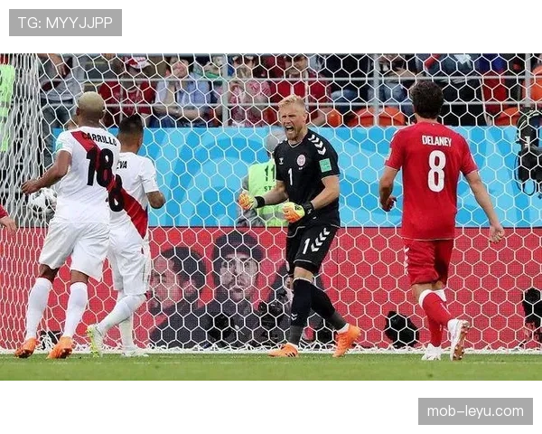 秘鲁队数据分析揭示潜力与挑战，未来战绩引人关注