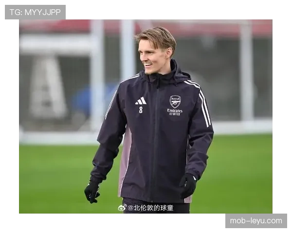 厄德高是否需要更强队友支撑其战术作用