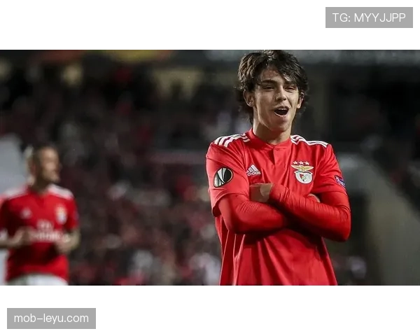 塔瓦雷斯职业生涯轨迹：从本菲卡青训到英超稳步成长